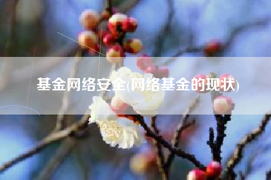 基金网络安全(网络基金的现状)