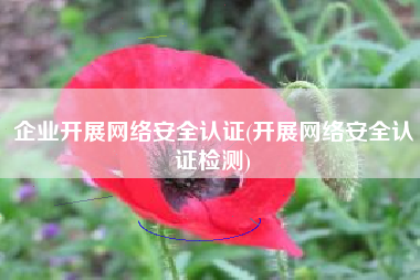 企业开展网络安全认证(开展网络安全认证检测)