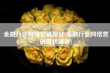 金融行业网络营销现状(金融行业网络营销现状调查)