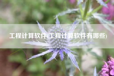 工程计算软件(工程计算软件有哪些)