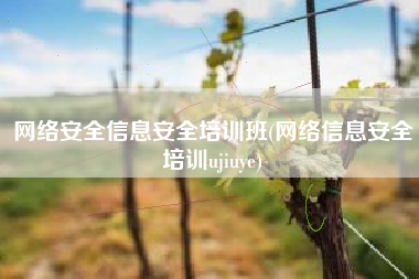 网络安全信息安全培训班(网络信息安全培训ujiuye)