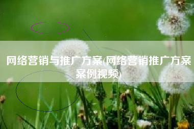 网络营销与推广方案(网络营销推广方案案例视频)