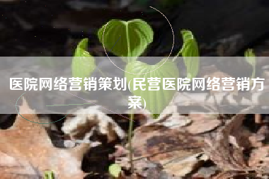 医院网络营销策划(民营医院网络营销方案)