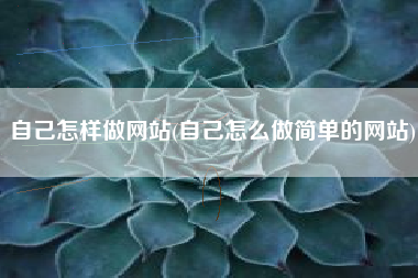 自己怎样做网站(自己怎么做简单的网站)