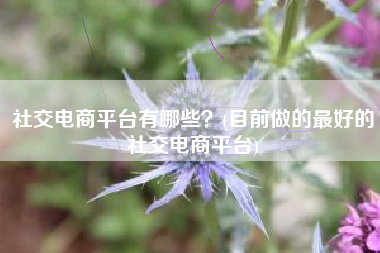 社交电商平台有哪些？(目前做的最好的社交电商平台)