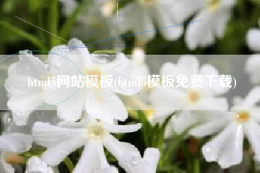 html5网站模板(html5模板免费下载)