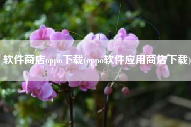 软件商店oppo下载(oppo软件应用商店下载)