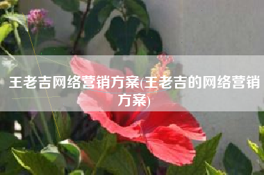 王老吉网络营销方案(王老吉的网络营销方案)
