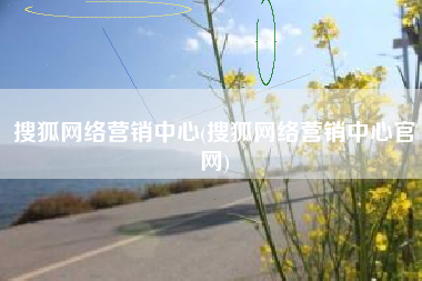 搜狐网络营销中心(搜狐网络营销中心官网)