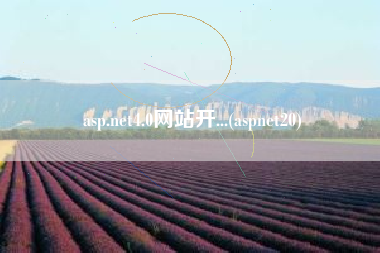 asp.net4.0网站开...(aspnet20)