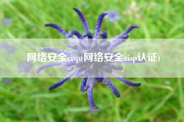 网络安全cisp(网络安全cisp认证)
