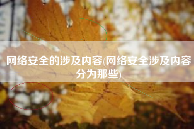 网络安全的涉及内容(网络安全涉及内容分为那些)