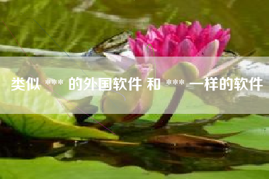类似 *** 的外国软件 和 *** 一样的软件