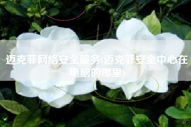 迈克菲网络安全服务(迈克菲安全中心在电脑的哪里)