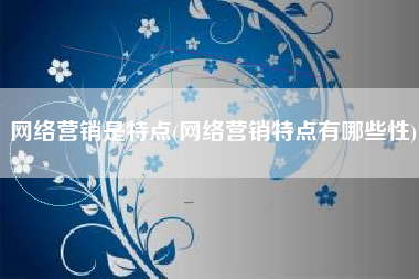 网络营销是特点(网络营销特点有哪些性)