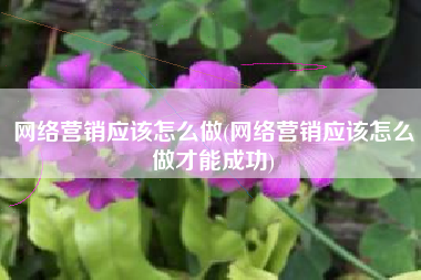 网络营销应该怎么做(网络营销应该怎么做才能成功)