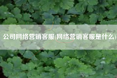 公司网络营销客服(网络营销客服是什么)