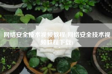 网络安全技术视频教程(网络安全技术视频教程下载)