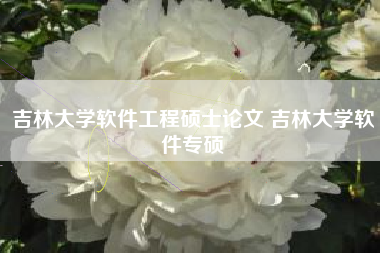 吉林大学软件工程硕士论文 吉林大学软件专硕
