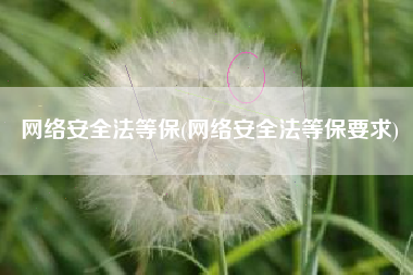 网络安全法等保(网络安全法等保要求)