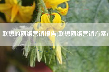 联想的网络营销报告(联想网络营销方案)