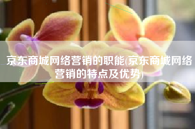 京东商城网络营销的职能(京东商城网络营销的特点及优势)