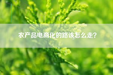 农产品电商化的路该怎么走？