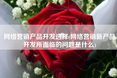 网络营销产品开发选择(网络营销新产品开发所面临的问题是什么)