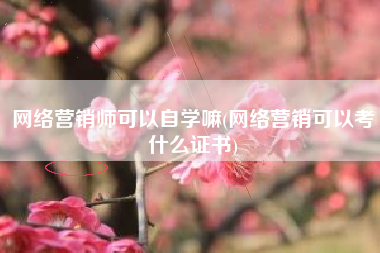 网络营销师可以自学嘛(网络营销可以考什么证书)