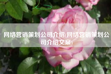 网络营销策划公司介绍(网络营销策划公司介绍文案)