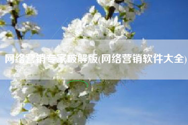 网络营销专家破解版(网络营销软件大全)