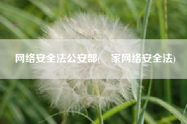 网络安全法公安部(囯家网络安全法)