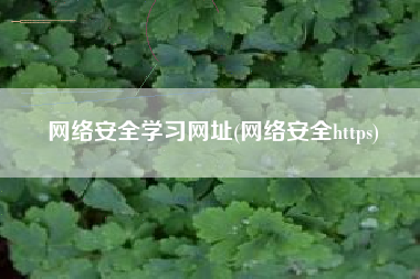 网络安全学习网址(网络安全https)