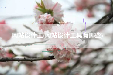 网站设计工(网站设计工具有哪些)
