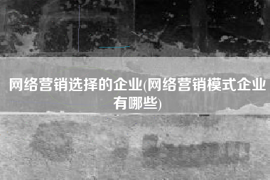 网络营销选择的企业(网络营销模式企业有哪些)