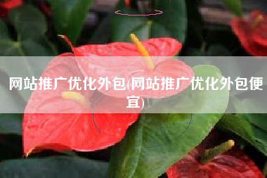网站推广优化外包(网站推广优化外包便宜)