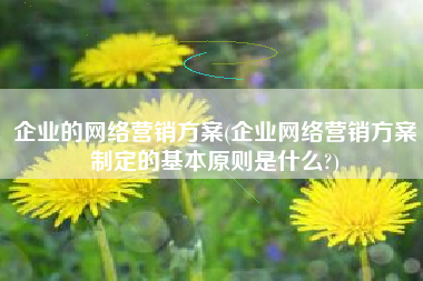 企业的网络营销方案(企业网络营销方案制定的基本原则是什么?)