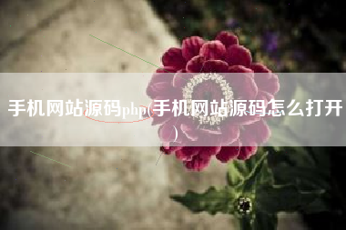 手机网站源码php(手机网站源码怎么打开)