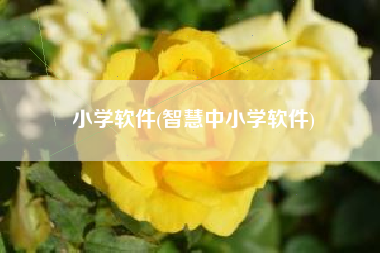 小学软件(智慧中小学软件)