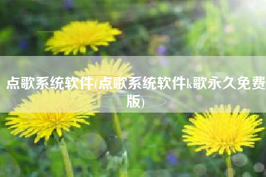 点歌系统软件(点歌系统软件k歌永久免费版)