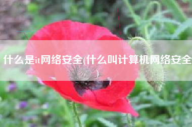 什么是it网络安全(什么叫计算机网络安全)