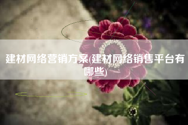 建材网络营销方案(建材网络销售平台有哪些)