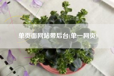 单页面网站带后台(单一网页)