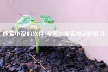 能看小说的软件(没网也能看小说的软件)