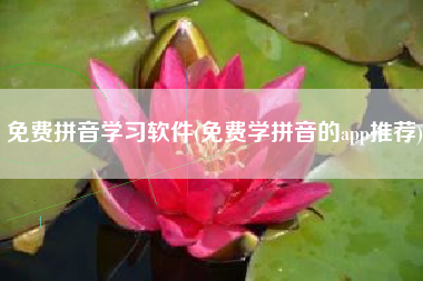 免费拼音学习软件(免费学拼音的app推荐)
