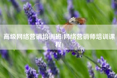 高级网络营销培训班(网络营销师培训课程)