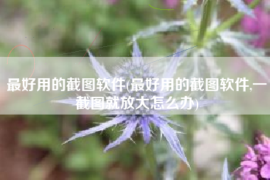 最好用的截图软件(最好用的截图软件,一截图就放大怎么办)