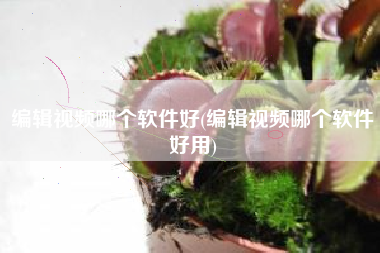 编辑视频哪个软件好(编辑视频哪个软件好用)