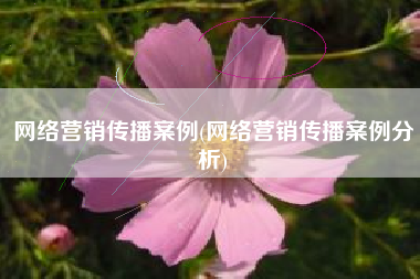 网络营销传播案例(网络营销传播案例分析)