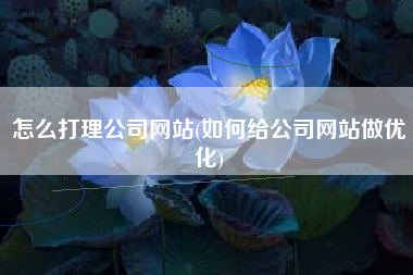 怎么打理公司网站(如何给公司网站做优化)